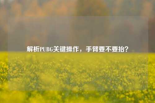 解析PUBG关键操作，手臂要不要抬？