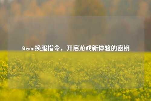 Steam换服指令，开启游戏新体验的密钥