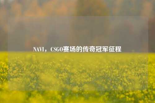 NAVI，CSGO赛场的传奇冠军征程