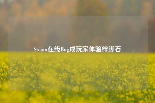 Steam在线Bug成玩家体验绊脚石