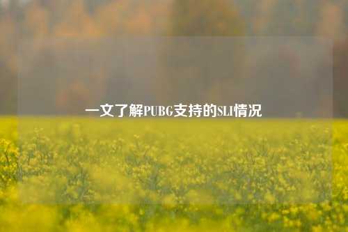 一文了解PUBG支持的SLI情况