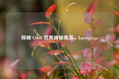 探秘 CSGO 世界神秘角落，Lurerg.csgo