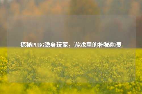 探秘PUBG隐身玩家，游戏里的神秘幽灵