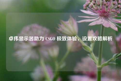 卓伟显示器助力 CSGO 极致体验，设置攻略解析
