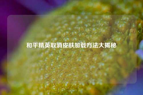 和平精英取消皮肤加载方法大揭秘