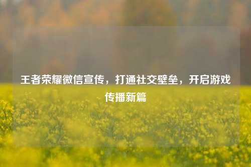 王者荣耀微信宣传，打通社交壁垒，开启游戏传播新篇