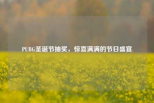 PUBG圣诞节抽奖，惊喜满满的节日盛宴