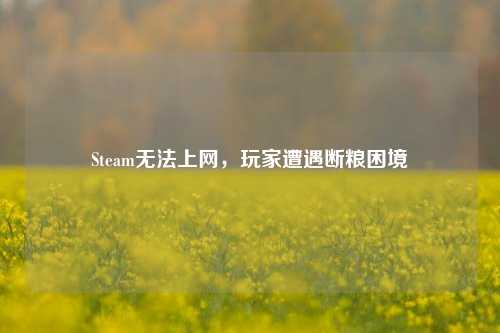 Steam无法上网，玩家遭遇断粮困境