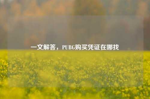 一文解答，PUBG购买凭证在哪找
