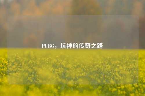 PUBG，坑神的传奇之路