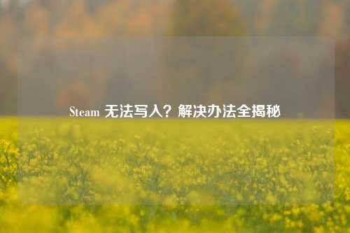 Steam 无法写入？解决办法全揭秘