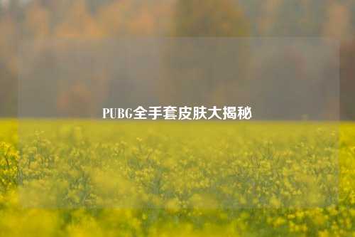 PUBG全手套皮肤大揭秘