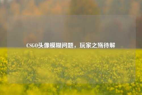 CSGO头像模糊问题，玩家之殇待解
