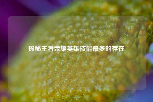 探秘王者荣耀英雄技能最多的存在
