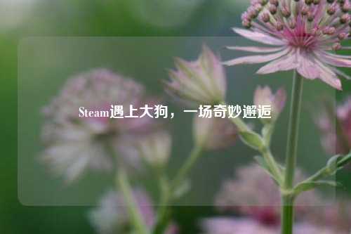 Steam遇上大狗，一场奇妙邂逅