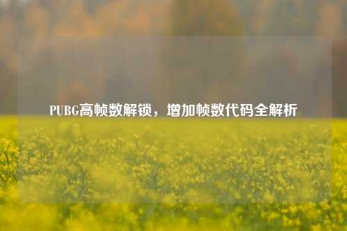 PUBG高帧数解锁，增加帧数代码全解析