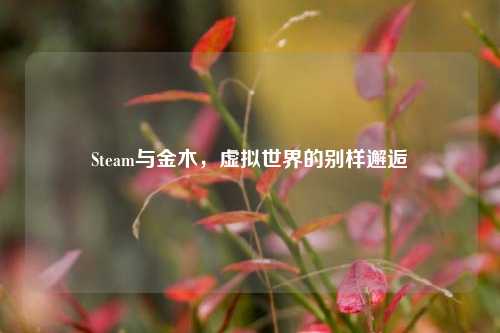 Steam与金木，虚拟世界的别样邂逅
