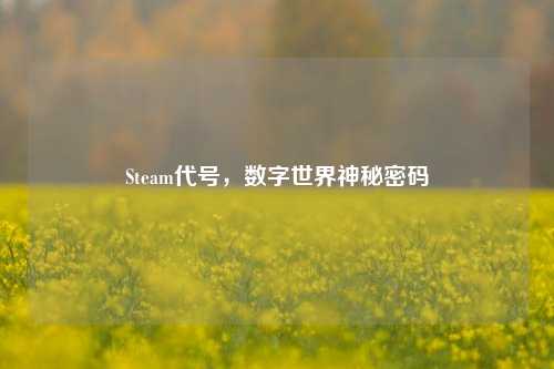 Steam代号，数字世界神秘密码