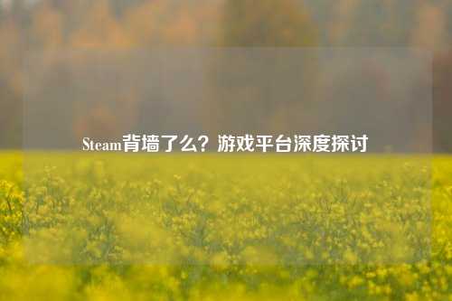 Steam背墙了么？游戏平台深度探讨