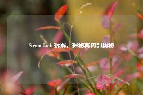 Steam Link 拆解，探秘其内部奥秘