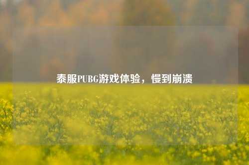 泰服PUBG游戏体验，慢到崩溃