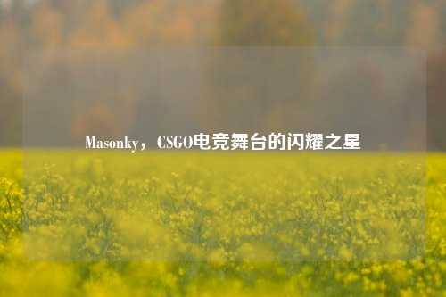 Masonky，CSGO电竞舞台的闪耀之星