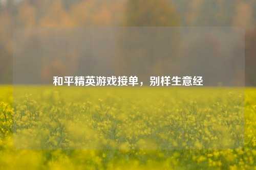 和平精英游戏接单，别样生意经