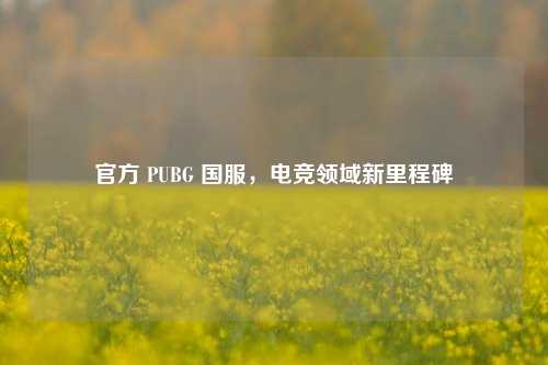 官方 PUBG 国服,电竞领域新里程碑