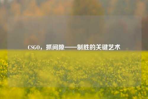 CSGO,抓间隙——制胜的关键艺术