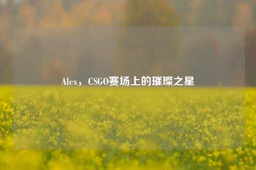 Alex，CSGO赛场上的璀璨之星