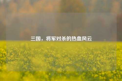 三国,将军对杀的热血风云