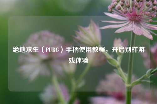 绝地求生(PUBG)手柄使用教程,开启别样游戏体验