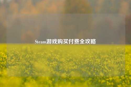 Steam游戏购买付费全攻略