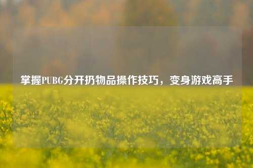 掌握PUBG分开扔物品操作技巧,变身游戏高手