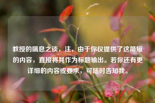 教授的喘息之谈,注,由于你仅提供了这简短的内容,直接将其作为标题输出。若你还有更详细的内容或要求,可随时告知我。