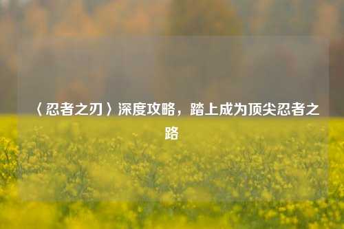 〈忍者之刃〉深度攻略,踏上成为顶尖忍者之路