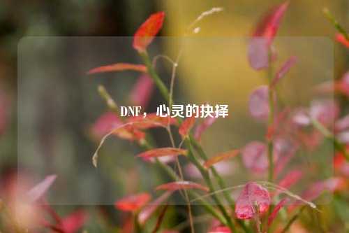 DNF，心灵的抉择
