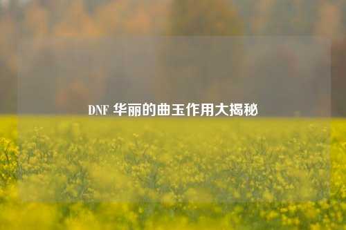 DNF 华丽的曲玉作用大揭秘