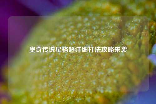 奥奇传说星格超详细打法攻略来袭
