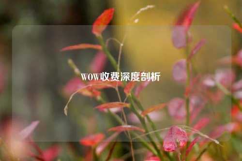WOW收费深度剖析