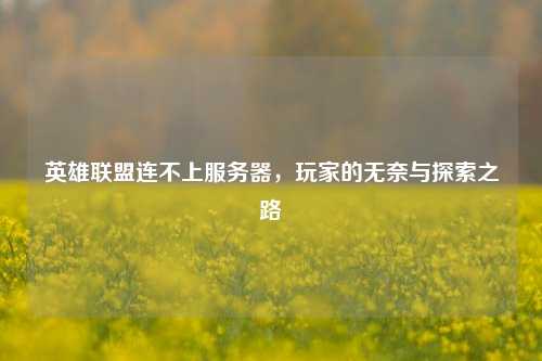 英雄联盟连不上服务器，玩家的无奈与探索之路