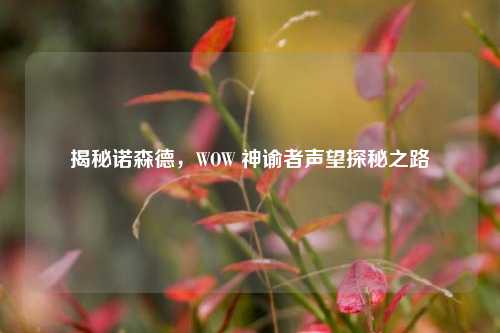 揭秘诺森德，WOW 神谕者声望探秘之路
