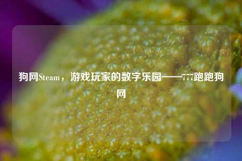 狗网Steam,游戏玩家的数字乐园——777跑跑狗网