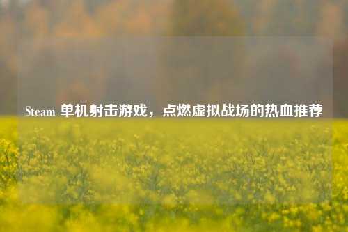 Steam 单机射击游戏,点燃虚拟战场的热血推荐