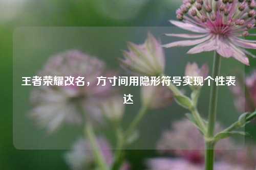 王者荣耀改名,方寸间用隐形符号实现个性表达