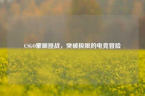 CSGO蒙眼挑战,突破极限的电竞冒险