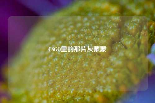 CSGO里的那片灰蒙蒙
