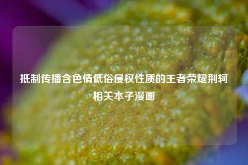 抵制传播含色情低俗侵权性质的王者荣耀荆轲相关本子漫画