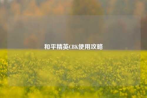 和平精英CBK使用攻略