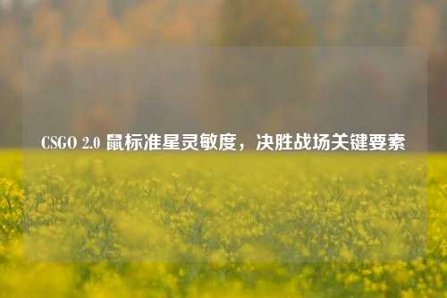 CSGO 2.0 鼠标准星灵敏度,决胜战场关键要素